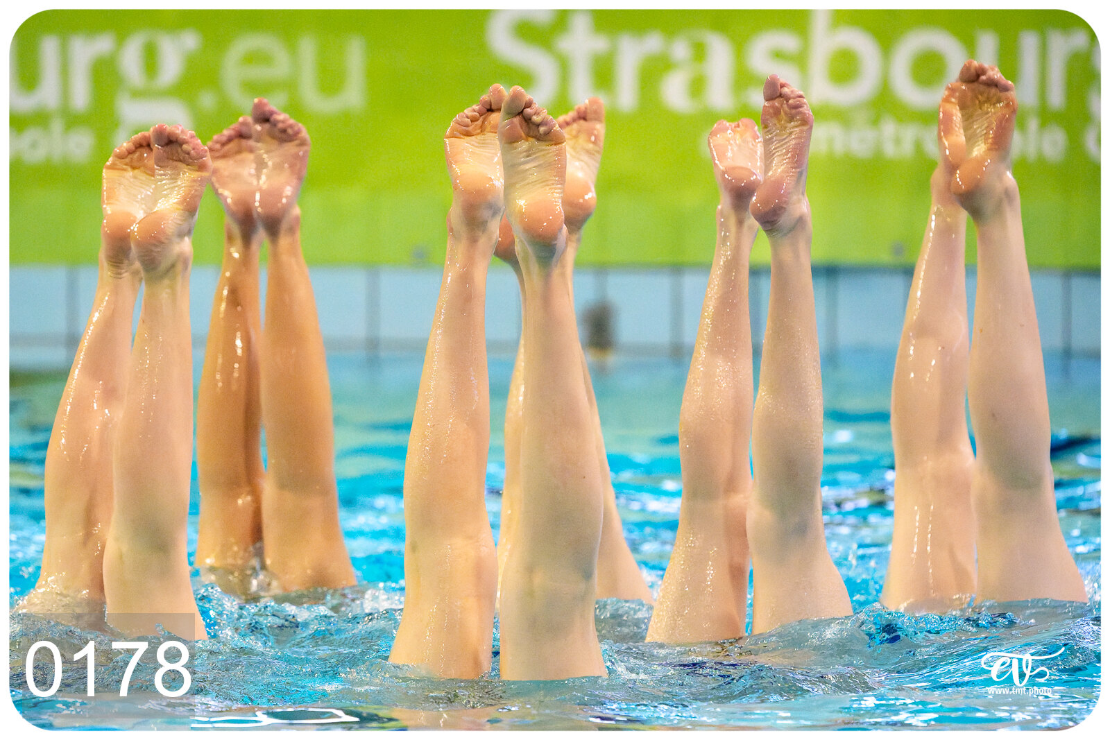 CHAMPIONNAT DE FRANCE DE NATATiON ARTISTIQUE N1 & ELITE 2026